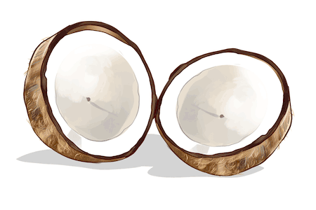 Coconut