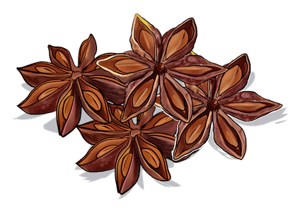 Star Anise